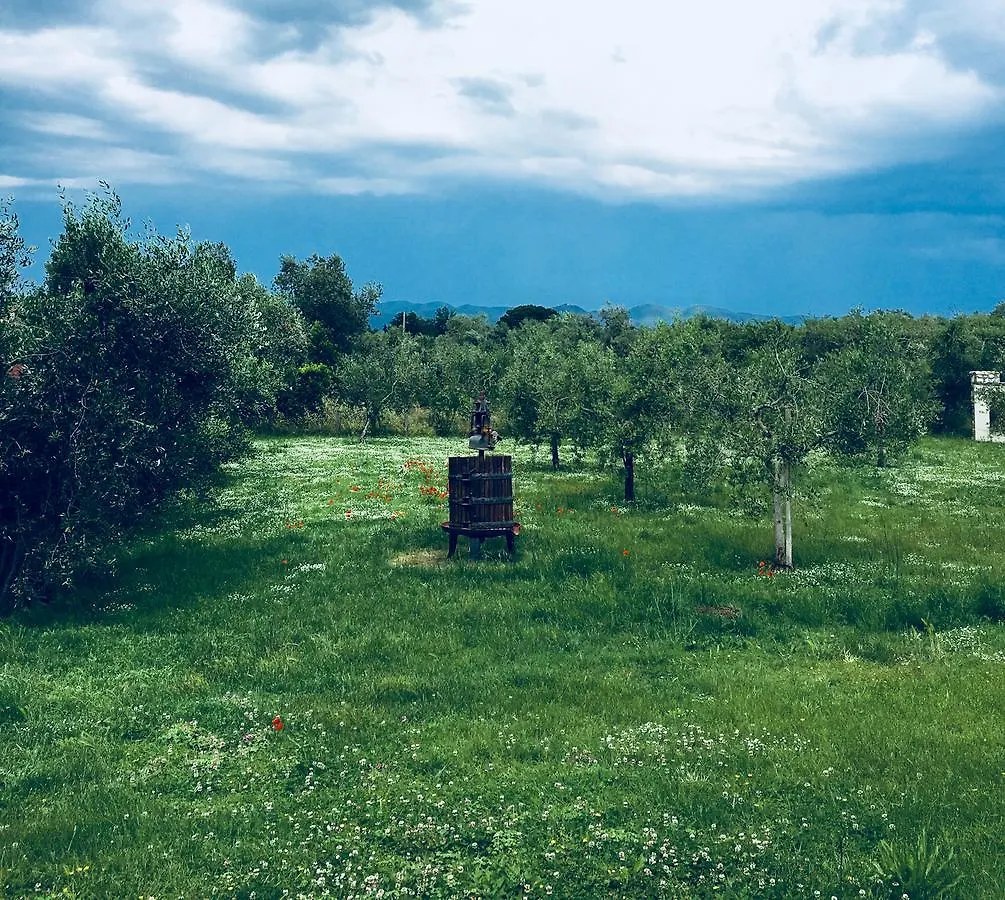 Villa La Cipriana Castagneto Carducci
