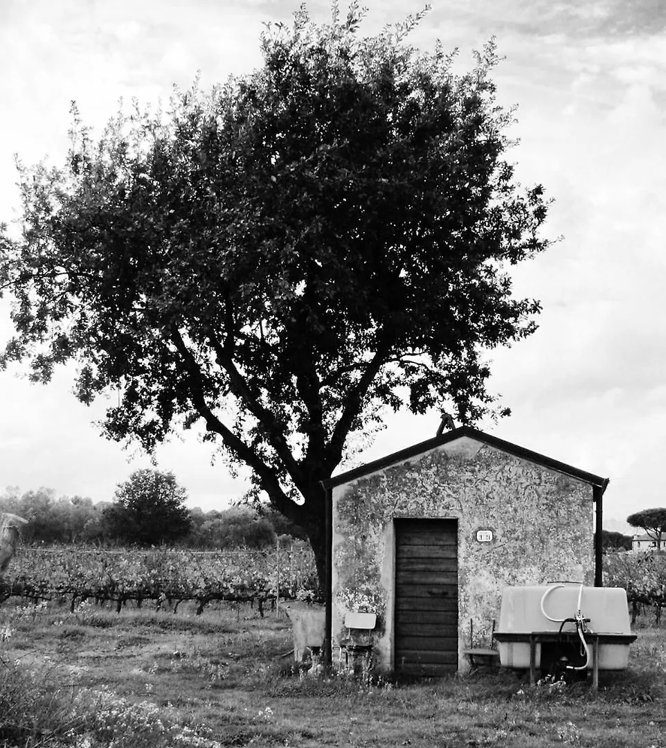 Villa La Cipriana Castagneto Carducci