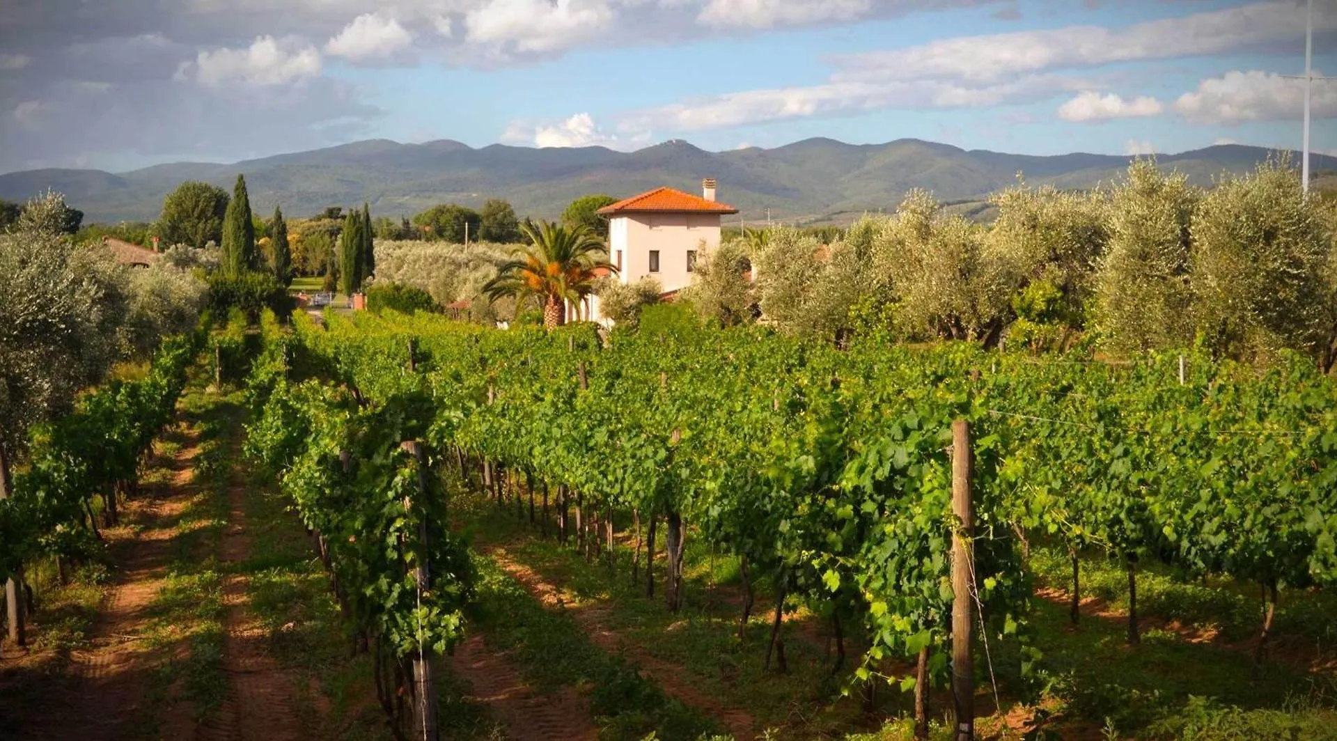 La Cipriana Villa Castagneto Carducci 0*,  Italy